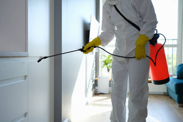 Best Mold Damage Repair  in Stockdale, TX
