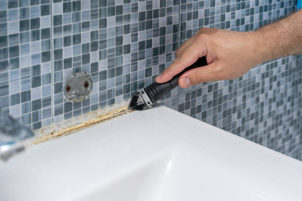 Best Mold Removal Company Near Me  in Stockdale, TX