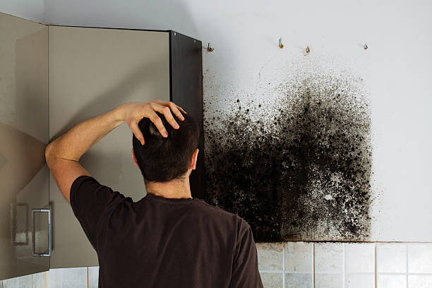 Best Mold Testing  in Stockdale, TX